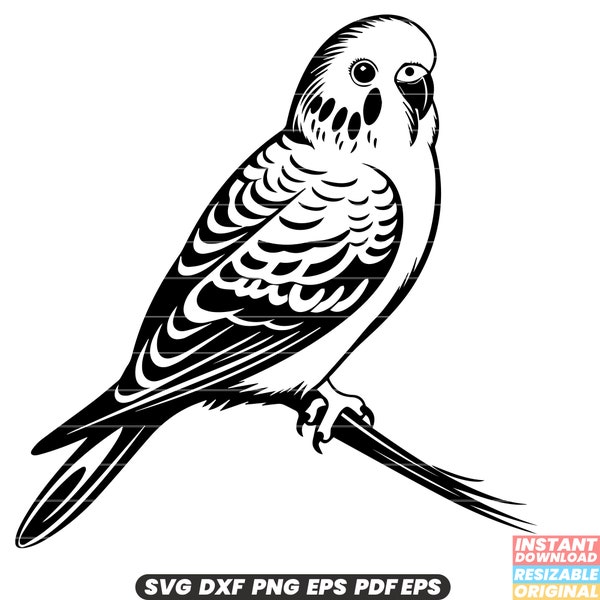 Budgerigar Bird Parakeet Pet Aviary Colorful Feather Australia Melopsittacus Undulatus Cage SVG DXF PNG Cut File Digital Instant Download