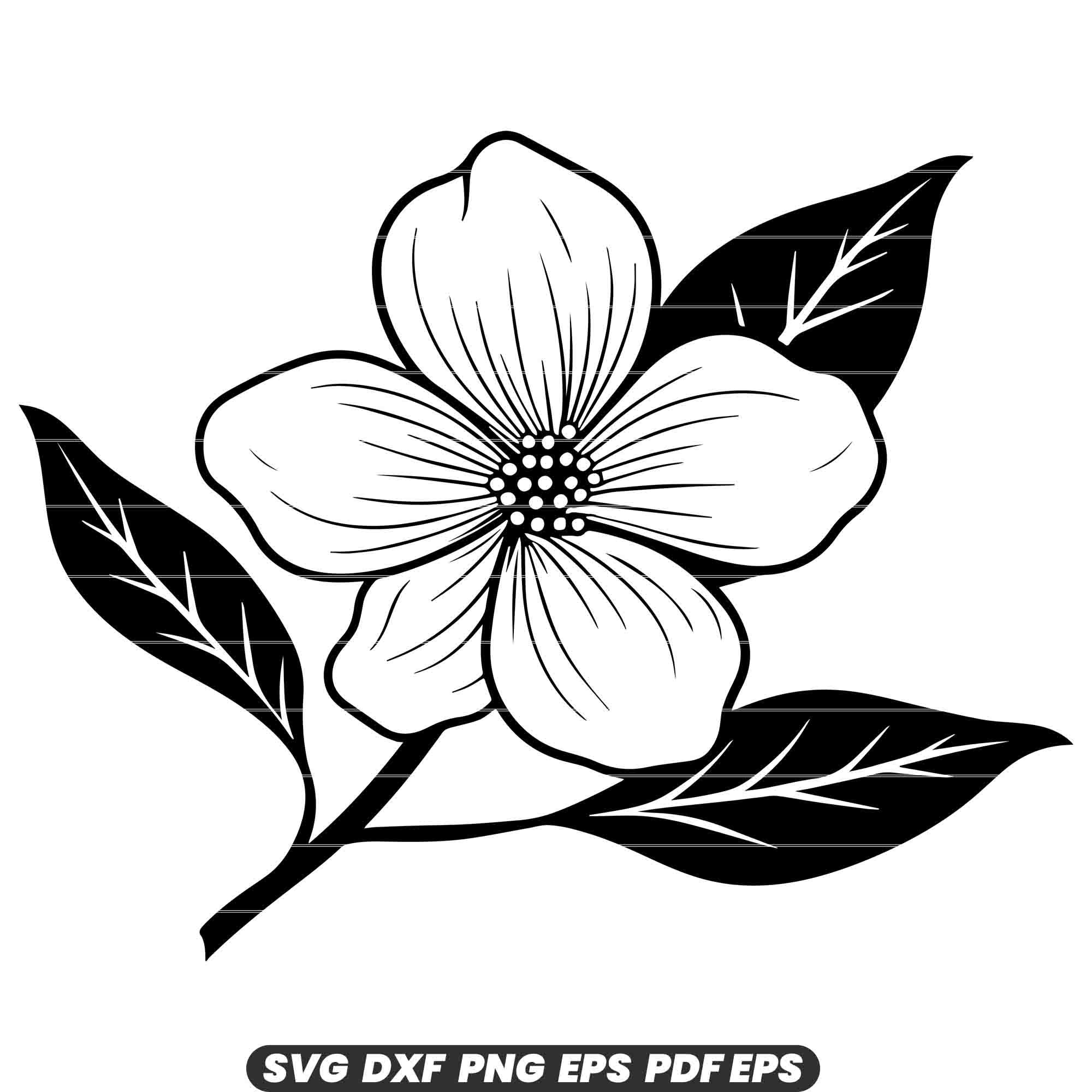 Dogwood Flower SVG Blossom Spring Tree Nature Petal Bloom