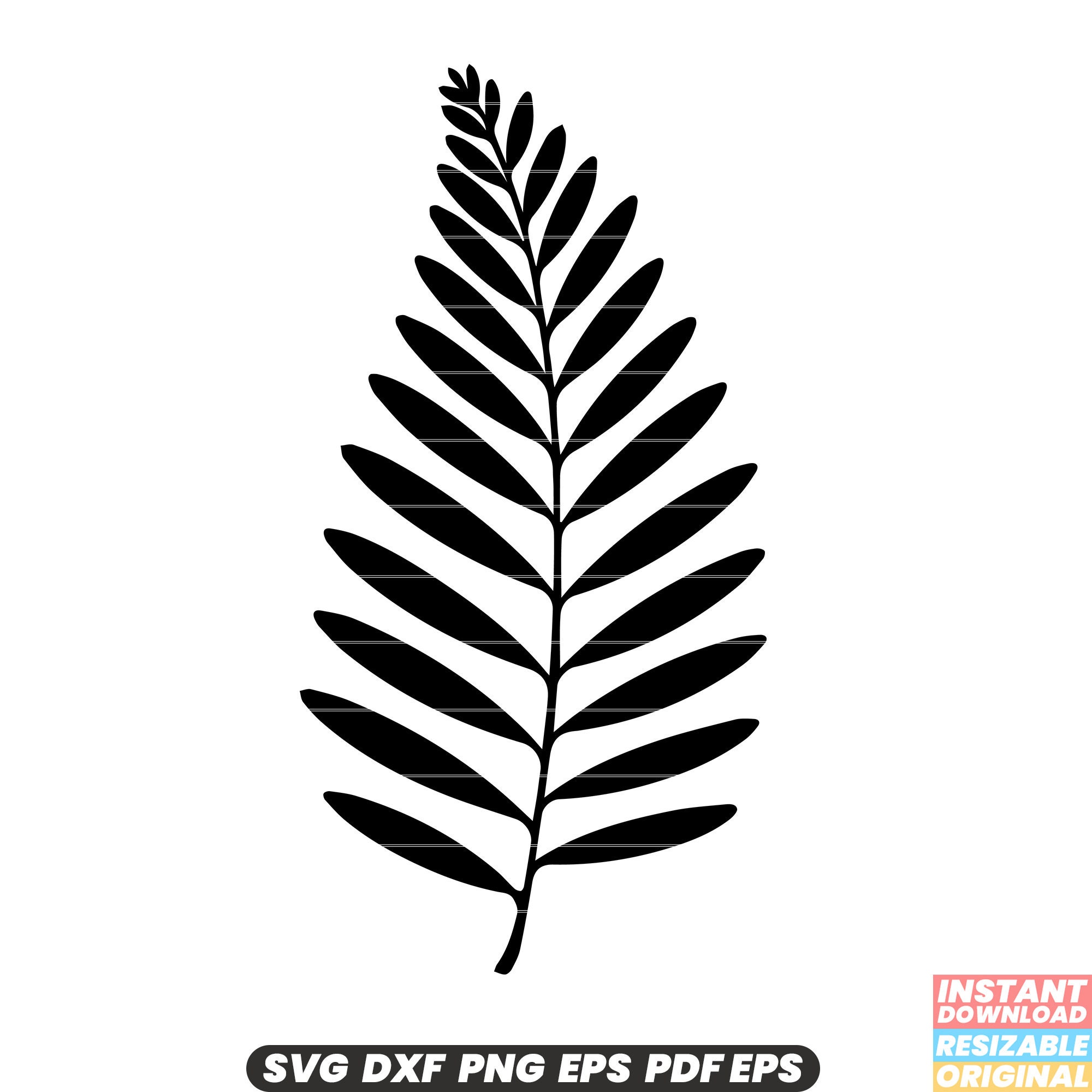 Douglas Fir Leaf SVG Douglas Fir Leaf DXF Douglas Fir Leaf - Etsy