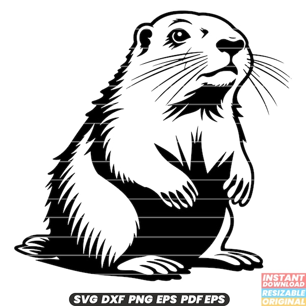 Marmot Rodent Groundhog Alpine Mountain Mammal Fur Whistle Pig Nature Wildlife SVG DXF PNG Cut File Digital Instant Download