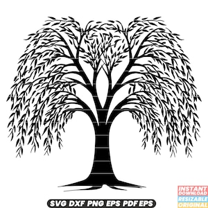 Saule nature plante feuilles branches feuillage forêt verdure élégance gracieuse jardin botanique paysage SVG DXF PNG coupe fichier