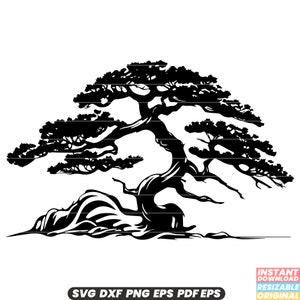 Albero di ginepro sempreverde conifere aromatiche legname flora natura SVG DXF PNG file di taglio download istantaneo digitale