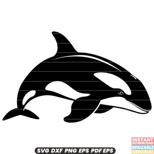 Großer Schwertwal Orca Ozean Marine Wildlife Säugetier Räuber Natur SVG DXF PNG Schnitt Datei Digital Sofort Download