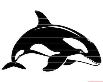 Killerwal Orca Ozean Meerestiere Säugetier Raubtier Natur SVG DXF PNG Cut Datei Digital Sofort Download