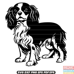 Cavalier King Charles Spaniel race de chien Canidé animal de compagnie animal de compagnie tour chien élégant jouet épagneul gracieux mignon adorable fichier PNG DXF SVG coupe