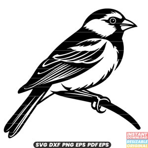 Moineau SVG | Moineau DXF | Moineau PNG - dessins aviaires pour les ornithologues amateurs - téléchargement immédiat