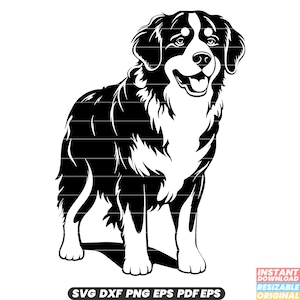 Berner Sennenhund Rasse Hund Haustier groß Arbeiten Schweiz Schweizer Alpen Hüten Begleiter Loyal Sanft Süß SVG DXF PNG Schnitt Datei