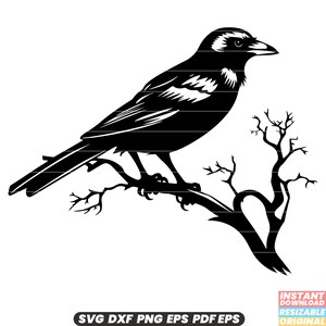 Krähe Vogel Wildtiere Rabenfeder Schwarz Smart Omen Symbol Mystic Dark Mystery Naturschutz Lebensraum SVG DXF PNG Schnittdatei