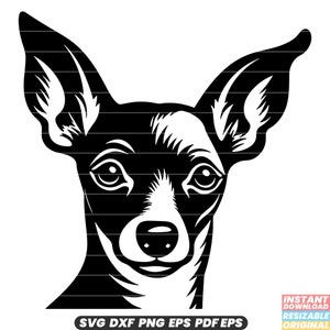 Pinscher miniatura SVG Raza de perro Mascota Canino Pequeño Compañero de alerta energética DXF PNG Archivo de corte #3