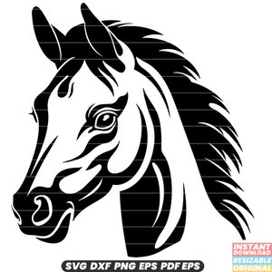 Veulen jong paard Colt merrieveulen paarden dier zoogdier natuur SVG DXF PNG-bestand knippen digitale Instant Download #5
