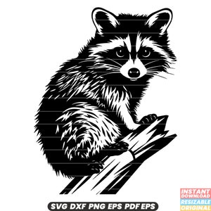 Wasbeer op boom Wildlife dier bos Habitat Boom klimmen natuur nachtelijke buiten SVG DXF PNG-bestand knippen