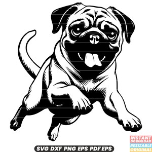 Mops Hunderasse Haustier Haustier niedlich entzückende Rehkitz Falten Schnauze freundlich Begleiter SVG DXF PNG Schnittdatei