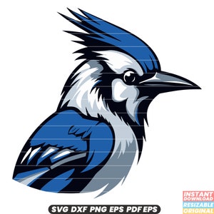 Bluejay Vogel Wildtier Federn kleine Sperlingssperling Naturschutz SVG DXF PNG Schnitt Datei Digital Sofort Download