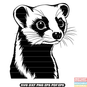 Kinkajou regenwoud zoogdier nachtelijke boom honingbeer exotische dieren in het wild boom klimmer natuur SVG DXF PNG-bestand knippen digitale Instant Download