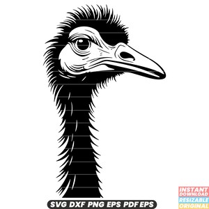Ostrich Bird Wildlife Safari Animal Nature Flightless Feathered SVG DXF PNG Cut File Digital Instant Download
