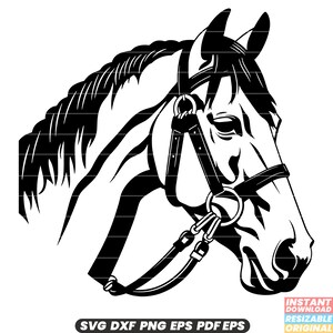 Hoofdstel Paardensport Tack Gear Paarden Bitteugels SVG DXF PNG-bestand knippen digitale Instant Download
