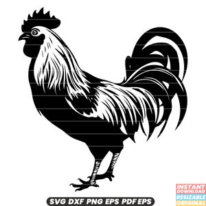 Pollo Bantam Poultry Breed Piccolo Uccello Fattoria Bestiame SVG DXF PNG File di taglio Download istantaneo digitale