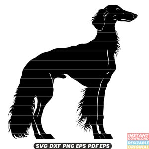 Barzoï, race de chien, animal de compagnie, animal, lévrier russe, élégant, gracieux, agile, athlétique, doux, compagnon, SVG, DXF, PNG, couper, file
