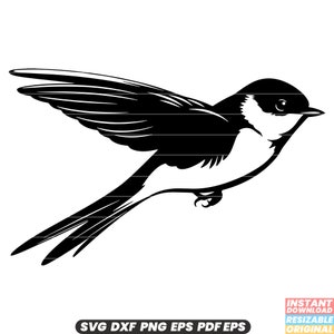 Op de afbeelding: Zwart-witte silhouet van een vogel in de vlucht. De vogel heeft een lange staart en uitgespreide vleugels. De vogel kijkt naar rechts.