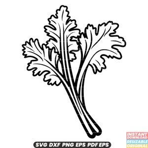 May include: A black and white line drawing of a bunch of cilantro.