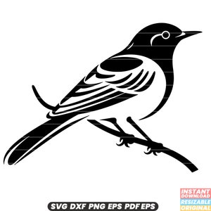 Przedrzeźniacz Ptak Śpiewający Ptak Naśladowanie Naśladowanie Dzikie zwierzęta Pióra Śpiewak Wokal Ptak Woliera Natura Naśladowanie Melodia SVG DXF PNG Plik Cięty