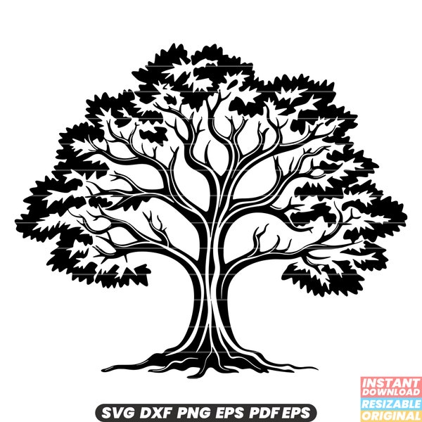 Oak SVG, Oak DXF, Oak PNG, Oak Clipart, Oak Cut File | Instant Download |