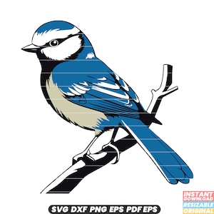 Blaumeise Vogel Wildlife Federn kleinen Sperlingsvogel Naturschutz SVG DXF PNG Schnitt Datei Digital Sofort Download
