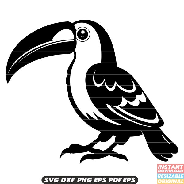 Toucan Bird Wildlife Rainforest Tropical Feathers Colorful Beak Beak Plumage Exotic Nature SVG DXF PNG Cut File