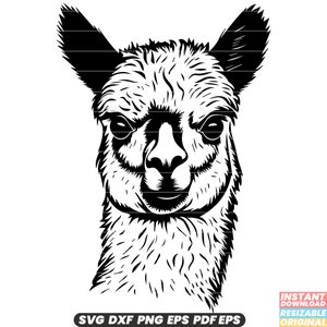 Alpaka Tier Wolle Südamerika Camelid Anden Vieh Bauernhof SVG DXF PNG Datei geschnitten Digital Sofort Download