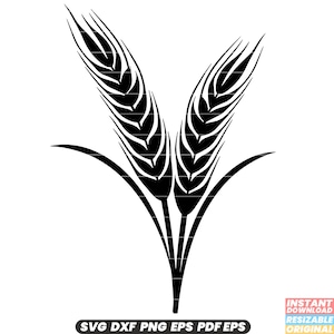 Cereal de grano de cebada Cultivo agrícola Granja Cosecha Ingrediente alimentario SVG DXF PNG Archivo de corte Descarga digital instantánea