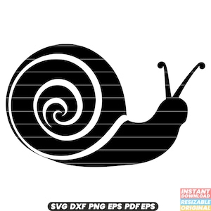 Lumaca Mollusco Gasteropode Lento Fauna Selvatica Natura Conchiglia Spirale Strisciante Lumaca SVG DXF PNG File di Taglio Download Istantaneo Digitale