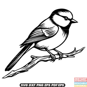 Pimpelmees vogel aviaire Wildlife natuur gevederde kleine zitstokken SVG DXF PNG-bestand knippen digitale Instant Download