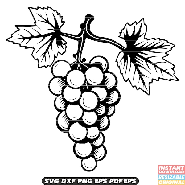 Grape Fruit Berry Vineyard Wine Winery Agriculture SVG DXF PNG Cut File Digital Instant Download