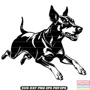 Dobermann hondenras Canine huisdier puppy waakhond werkdier intelligent beschermend gehoorzaam gespierd atletisch SVG DXF PNG-bestand knippen