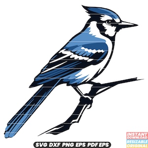 Bluejay Vogel Wildtier Federn kleine Sperlingssperling Naturschutz SVG DXF PNG Schnitt Datei Digital Sofort Download