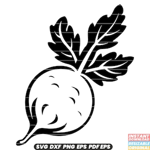 Radish Vegetable Root Plant Food Nutrition Garden Harvest Fresh Healthy Organic Culinary Ingredient SVG DXF PNG Cut File