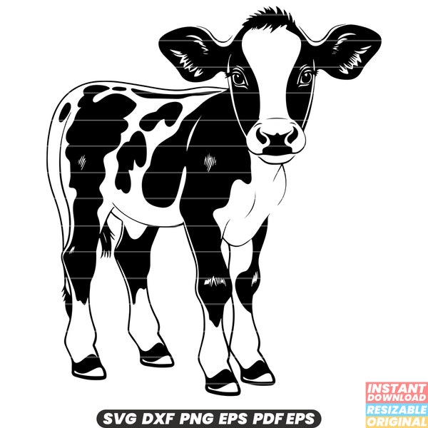 Calf Baby Animal Farm Livestock Mammal Dairy Cute Young Cattle Grazing SVG DXF PNG Cut File Digital Instant Download