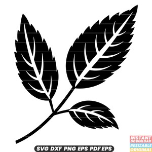 Menta SVG Erba Foglia Pianta Aromatico Sapore culinario Ingrediente fresco Giardino DXF PNG File di taglio n. 2