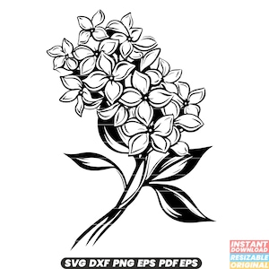 Fleur lilas floraison parfum printemps buisson arbuste jardin botanique violet lavande fleur blanche arôme fichier DXF PNG SVG coupe