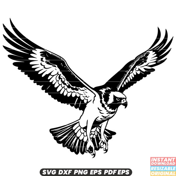 Osprey Bird of Prey Raptor Wildlife Nature Feathers SVG DXF PNG Cut File Digital Instant Download