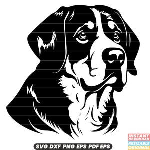 Schweizer Sennenhund SVG - Starker Hund, Haustier Illustration, Großschweizer Sennenhund Rasse, Hundeliebhaber Geschenk DXF PNG Schnittdatei # 1
