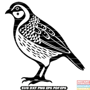 Wachtel Vogel Avian Wildlife Natur Gefiederte kleine Spiel Vogel SVG DXF PNG Schnitt Datei Digital Sofort Download