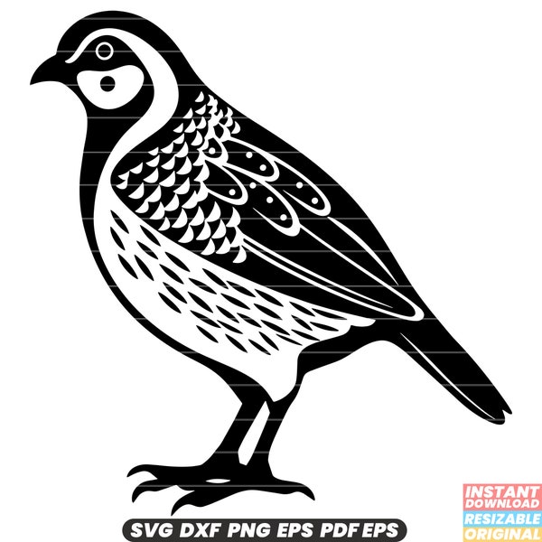 Quail Bird Avian Wildlife Nature Feathered Small Game Bird SVG DXF PNG Cut File Digital Instant Download