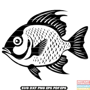 Panfish Fish Freshwater Catch Angling Bluegill Crappie Perch Sunfish Fishing Sport Angler SVG DXF PNG Cut File