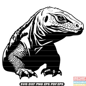 Komodo Dragon Reptile Lizard Indonesia Wildlife Endangered Species Giant Lizard Varanus Carnivore Venomous Island Predator Dragon