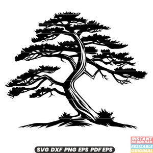 Ceder groenblijvende naaldhout aromatisch hout bos natuur bos SVG DXF PNG-bestand knippen digitale Instant Download
