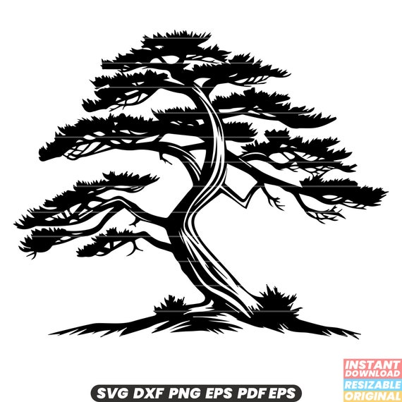 Silueta De Arbol De Cedro