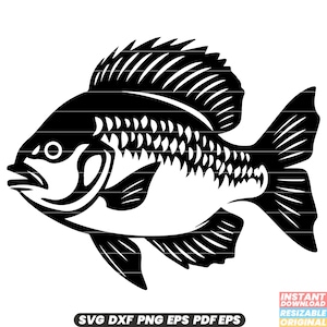 Crappie Fish Freshwater Fishing Angling Panfish Wildlife Nature SVG DXF PNG Cut File Digital Instant Download