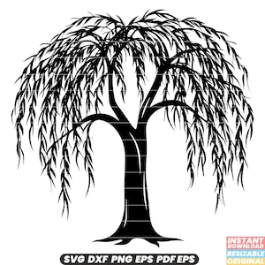 Saule nature plante feuilles branches feuillage forêt verdure élégance gracieuse jardin botanique paysage SVG DXF PNG coupe fichier