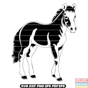 Poulain jeune cheval Poulain pouliche équin Animal mammifère Nature SVG DXF PNG coupe fichier téléchargement numérique instantané #1